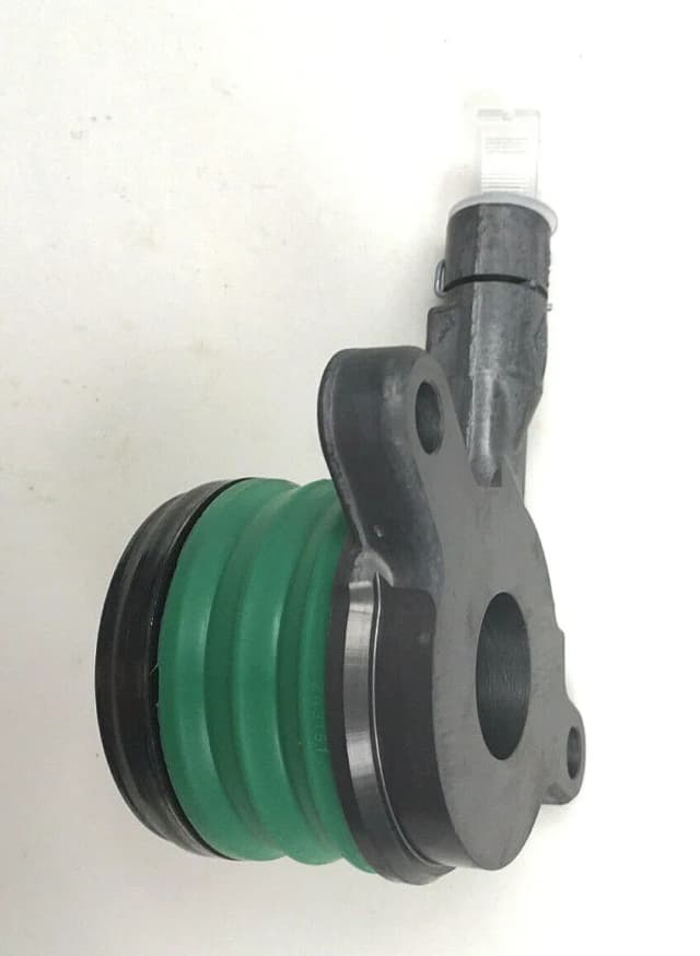Article 59Z6